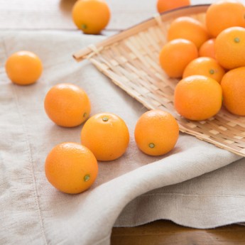 제주 낑깡(금귤) 3kg