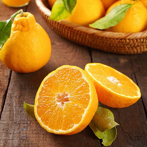 제주 한라봉10kg 24~30개