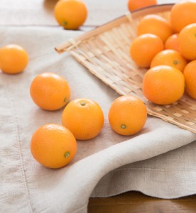 제주 낑깡(금귤) 5kg