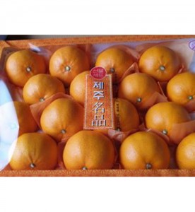 제주 천혜향 5kg (14~18개)