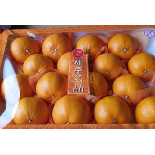 제주 천혜향 3kg (8~9개)
