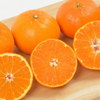 제주 레드향 10kg 가정용