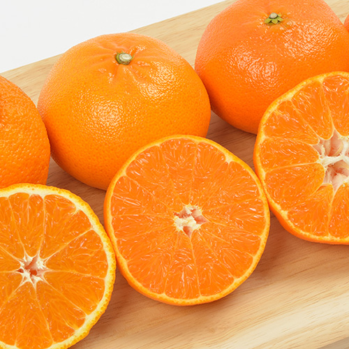 제주 레드향 5kg 가정용