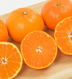 제주 레드향 5kg 가정용